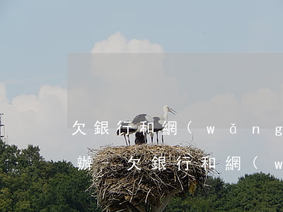 欠銀行和網(wǎng)貸的錢還不起怎么辦-欠銀行和網(wǎng)貸的錢還不起怎么辦呢