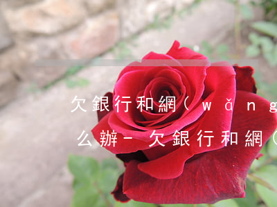 欠銀行和網(wǎng)貸貸款還不起了怎么辦-欠銀行和網(wǎng)貸貸款還不起了怎么辦呢