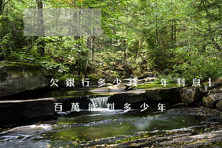 欠銀行多少錢一年利息100萬-欠銀行一百萬能判多少年
