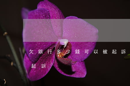 欠銀行多少錢可以被起訴（拖欠銀行多少錢能起訴）