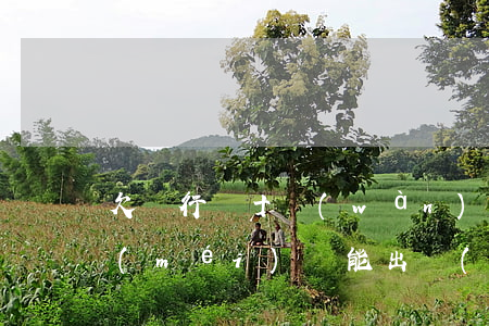 欠銀行幾十萬(wàn)能出境(欠銀行錢沒(méi)還能出國(guó)嗎)