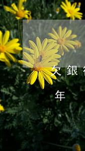 欠銀行幾千萬要判幾年 欠銀行幾千萬要判幾年