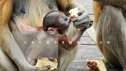 欠銀行幾百塊錢會上征信嗎