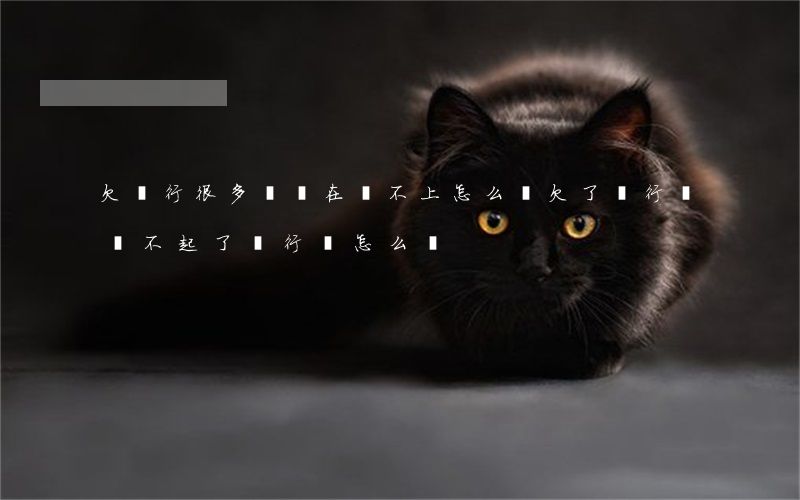 欠銀行很多錢實在還不上怎么辦(欠了銀行錢還不起了 銀行會怎么辦)