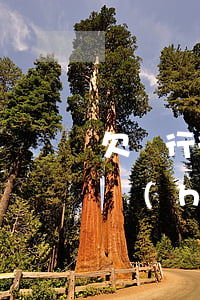 欠銀行很多錢會(huì)坐牢嗎(欠銀行錢會(huì)坐牢嗎最新規(guī)定)