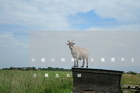 欠銀行快貸30萬還不上怎么辦(貸款欠了30萬怎么辦)