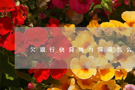 欠銀行快貸無力償還怎么辦上海-