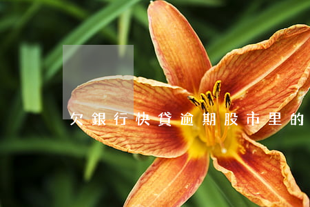 欠銀行快貸逾期股市里的會扣嗎-