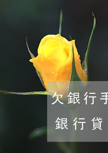欠銀行手機(jī)貸(為什么手機(jī)銀行貸不了款)