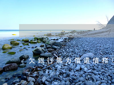 欠銀行無力償還債務(wù)