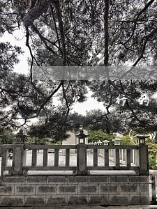 欠銀行的債務(wù)怎么處理-欠銀行的債務(wù)怎么處理最好
