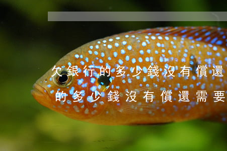 欠銀行的多少錢沒有償還需要坐牢-欠銀行的多少錢沒有償還需要坐牢呢