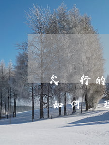 欠銀行的貸款還不上怎么辦(貸款還不上銀行如何處理)