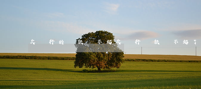 欠銀行的貸款還不起 欠銀行貸款還不起了