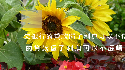 欠銀行的貸款還了,利息可以不還嗎-欠銀行的貸款還了,利息可以不還嗎怎么算