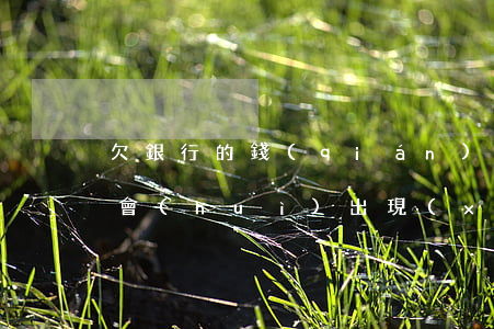欠銀行的錢(qián)沒(méi)有還會(huì)出現(xiàn)什么后果-欠銀行的錢(qián)沒(méi)有還會(huì)出現(xiàn)什么后果呢