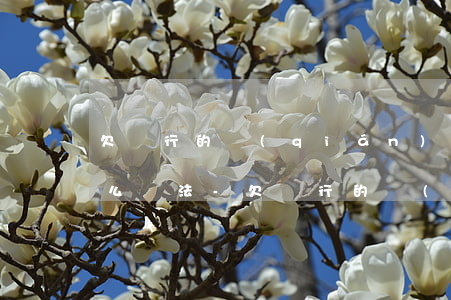 欠銀行的錢(qián)還不起怎么辦有什么辦法-欠銀行的錢(qián)還不起怎么辦有什么辦法解決