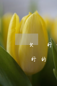 欠銀行的錢一直不還銀行還會找你嗎-欠銀行的錢一直不還會怎樣