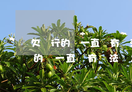 欠銀行的錢一直沒有辦法還怎么辦-欠銀行的錢一直沒有辦法還怎么辦呢