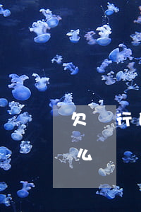 欠銀行的錢不還咋辦(欠銀行錢不還最終會怎么樣)