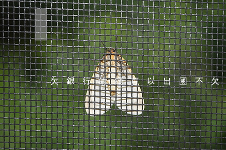 欠銀行的錢可以出國不(欠銀行貸款能出國嗎)