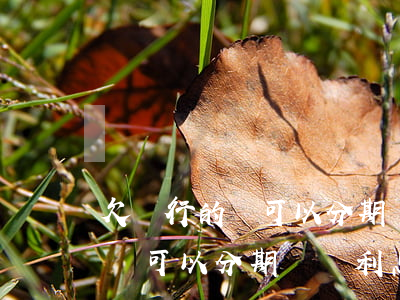 欠銀行的錢可以分期還減利息嗎?-欠銀行的錢可以分期還減利息嗎
