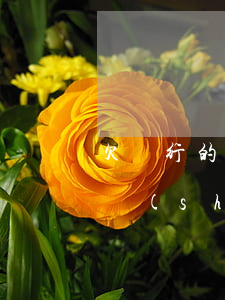 欠銀行的錢多年未還(欠銀行的錢多年未還,能實(shí)名開卡存款嗎)
