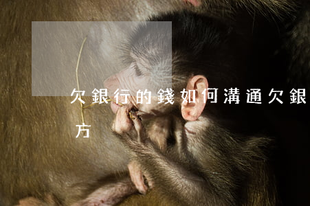 欠銀行的錢如何溝通 欠銀行的錢如何溝通對方
