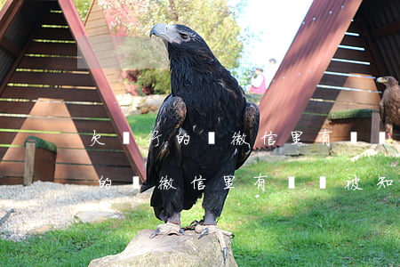 欠銀行的錢微信里有錢會被知道嗎-欠銀行的錢微信里有錢會被知道嗎安全嗎