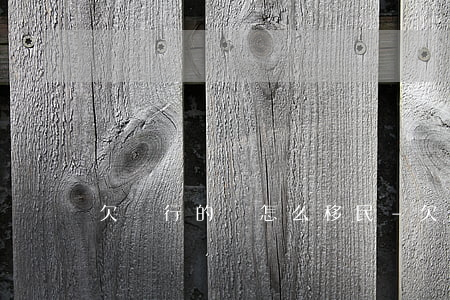 欠銀行的錢怎么移民-欠銀行錢移民了怎么辦
