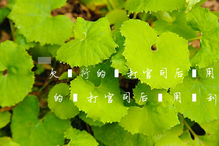 欠銀行的錢打官司后還用還利息嗎-欠銀行的錢打官司后還用還利息嗎怎么辦
