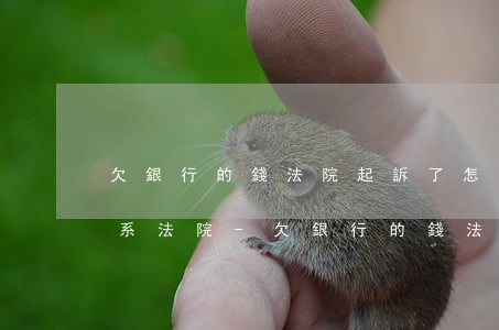 欠銀行的錢法院起訴了怎么聯(lián)系法院-欠銀行的錢法院起訴了怎么聯(lián)系法院呢