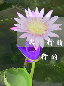欠銀行的錢無力償還可以要求免利息嗎-欠銀行的錢無力償還可以要求免利息嗎?