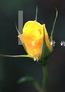 欠銀行的錢無力償還會連累父母嗎-欠銀行的錢無力償還會連累父母嗎知乎