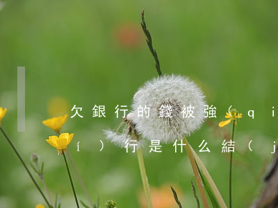 欠銀行的錢被強(qiáng)制執(zhí)行是什么結(jié)果-欠銀行的錢被強(qiáng)制執(zhí)行是什么結(jié)果呢