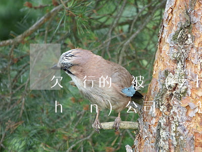 欠銀行的錢被轉(zhuǎn)到資產(chǎn)公司權證怎么處理-欠銀行錢財產(chǎn)轉(zhuǎn)移有用嗎