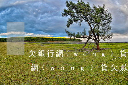 欠銀行網(wǎng)貸20萬無力還款了(網(wǎng)貸欠款20萬無力償還怎么辦)