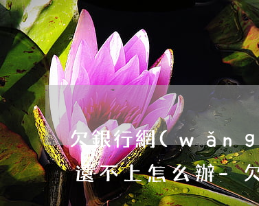 欠銀行網(wǎng)貸80萬(wàn) 還不上怎么辦-欠銀行網(wǎng)貸80萬(wàn) 還不上怎么辦呢