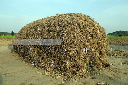 欠銀行網(wǎng)貸會(huì)被逼死嗎(欠網(wǎng)貸可怕嗎)