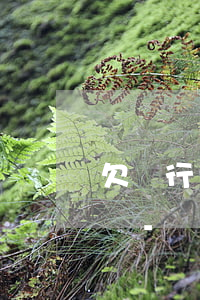 欠銀行網(wǎng)貸每月還一部分會怎樣-