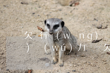 欠銀行網(wǎng)貸的錢暫時(shí)無(wú)力償還(欠銀行網(wǎng)貸還不上怎么辦)