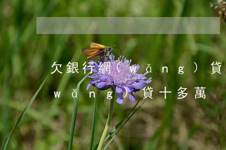 欠銀行網(wǎng)貸總共二十萬(欠網(wǎng)貸十多萬)