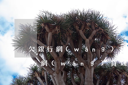欠銀行網(wǎng)貸錢實在還不上(欠銀行網(wǎng)貸錢實在還不上)