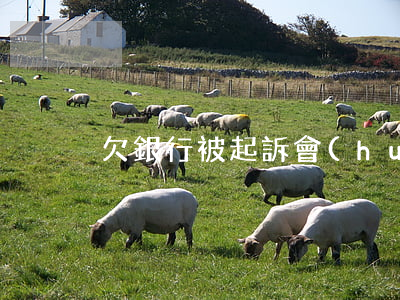 欠銀行被起訴會(huì)連累父母嗎