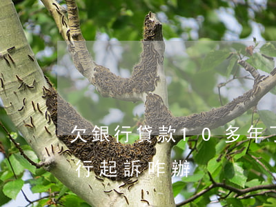 欠銀行貸款10多年了 十幾年貸款還不上,銀行起訴咋辦