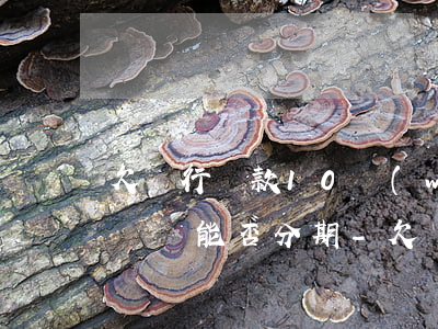 欠銀行貸款10萬(wàn)無(wú)力償還能否分期-欠銀行貸款10萬(wàn)無(wú)力償還能否分期還款
