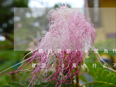 欠銀行貸款10萬為什么不起訴我-欠銀行貸款10萬為什么不起訴我呢