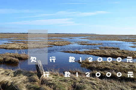 欠銀行貸款12000元可以分期還嗎-欠銀行貸款12000元可以分期還嗎