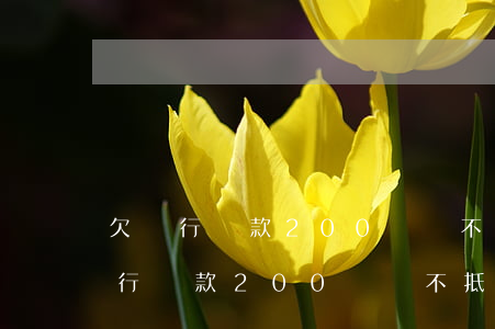 欠銀行貸款200萬資不抵債怎么辦-欠銀行貸款200萬資不抵債怎么辦呢