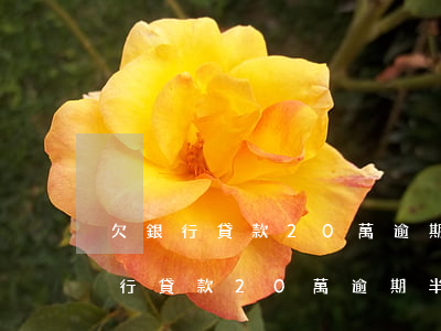 欠銀行貸款20萬逾期半年利息多少-欠銀行貸款20萬逾期半年利息多少錢